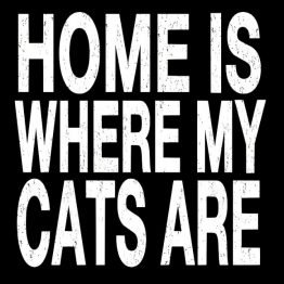 home is where my cats are home is where my cats are